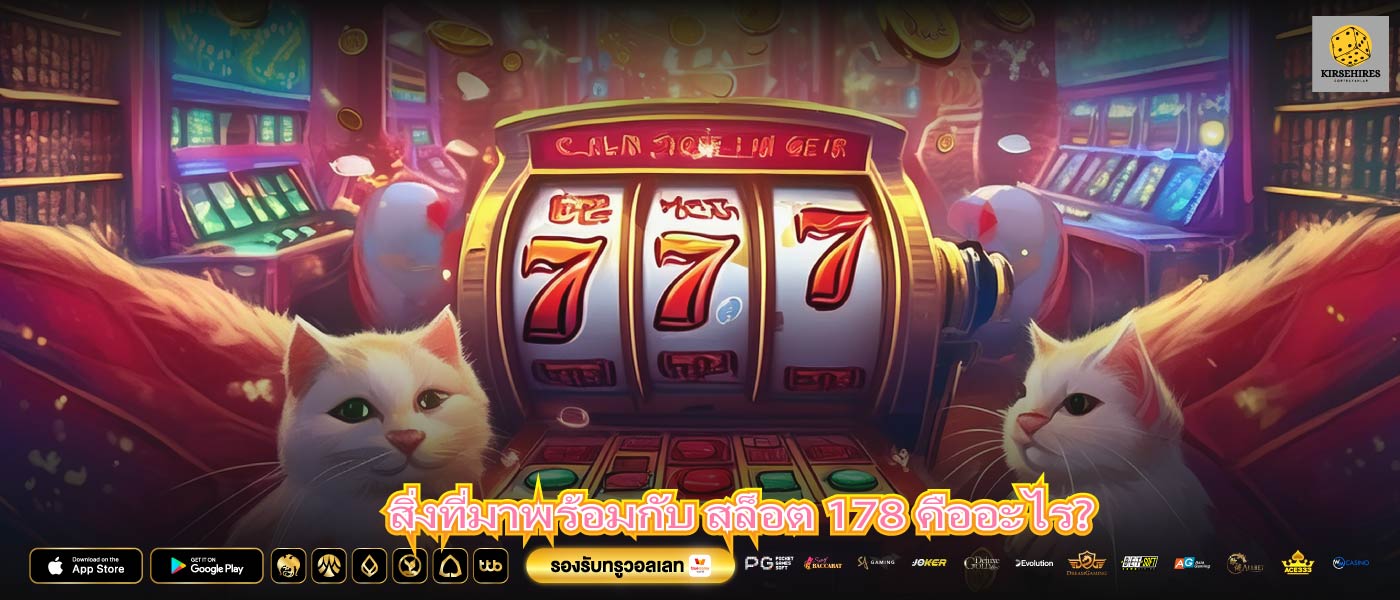 สิ่งที่มาพร้อมกับ สล็อต 178 คืออะไร?